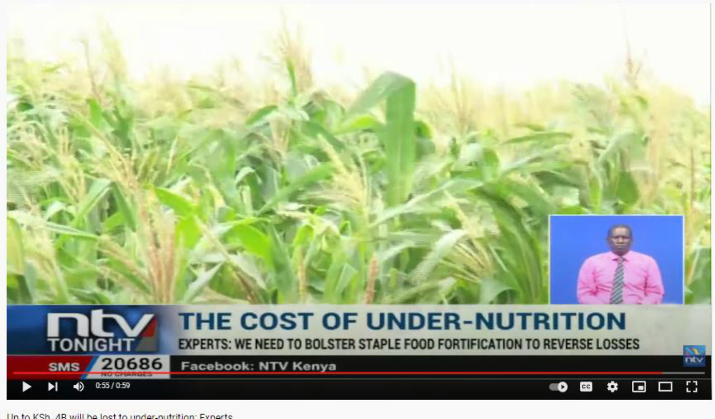 25 media stories from a food-fortification close-out workshop: photo 5 of 6